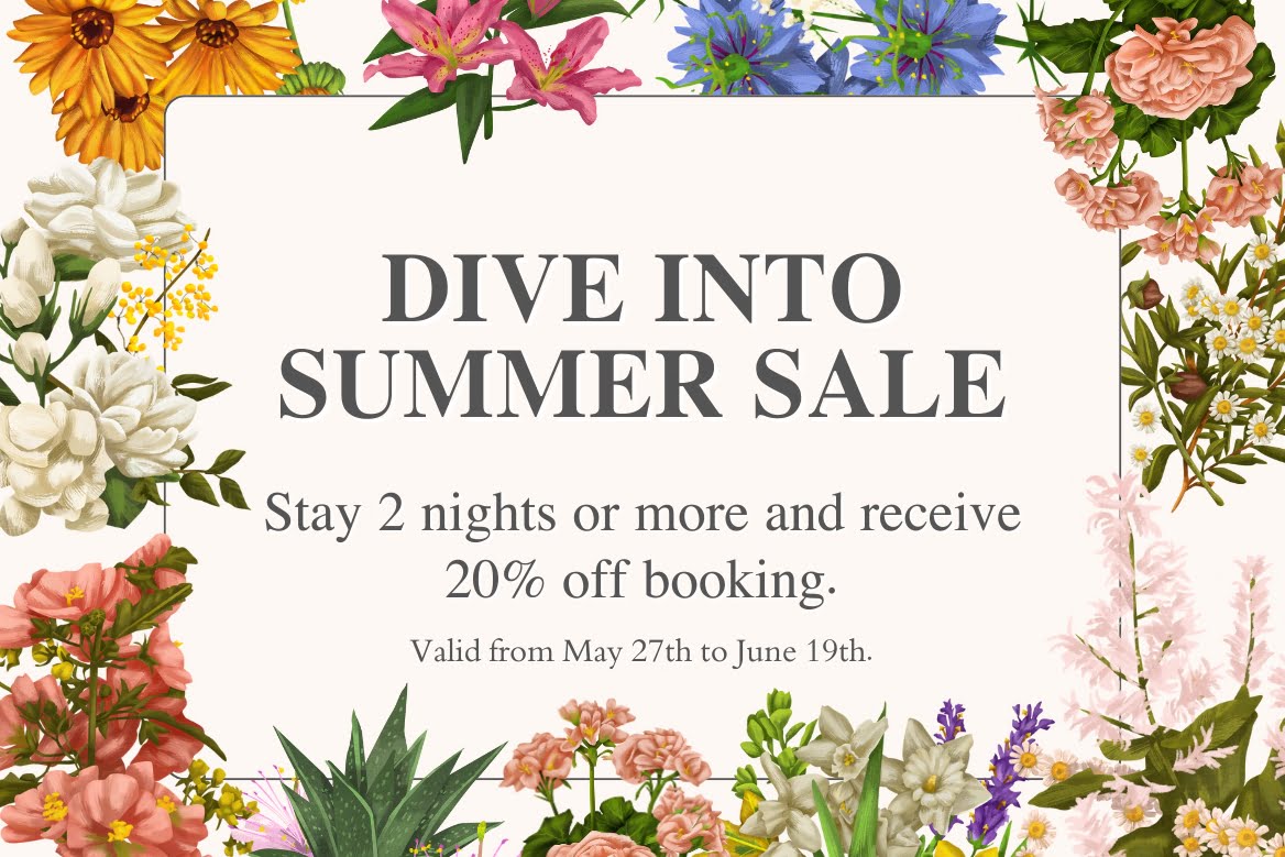 Dive Into Summer Sale