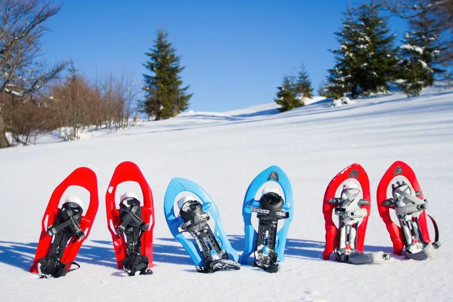 Three sets of snow shoes in the snow in the Berkshires