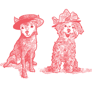 Rooms - The Barn