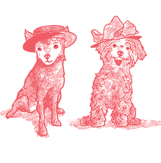 Rooms - The Barn